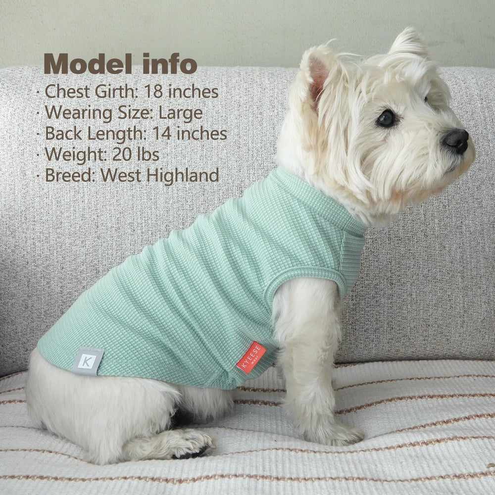 KYEESE XL size guide for Beagle, French Bulldog, and similar medium breeds