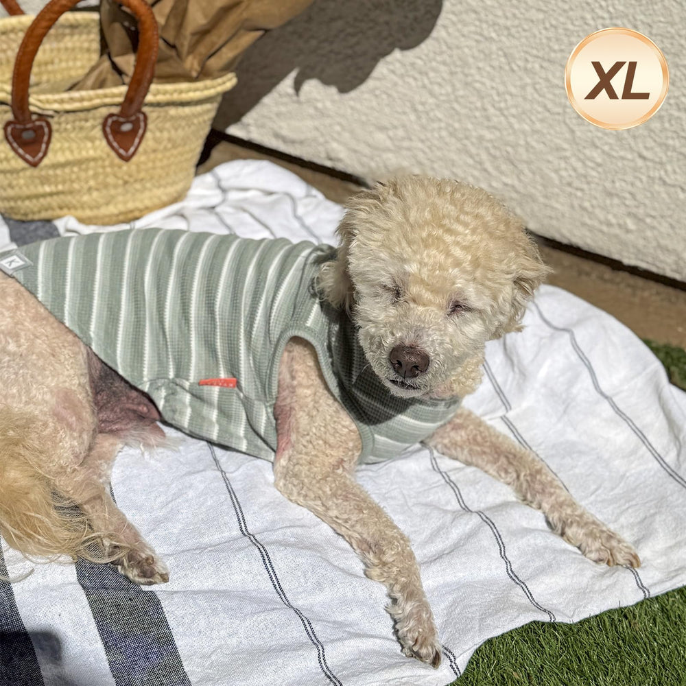 KYEESE waffle dog shirt in breathable knit fabric keeps pets cool during outings