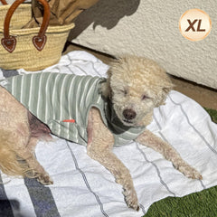 KYEESE waffle dog shirt in breathable knit fabric keeps pets cool during outings