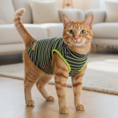 KYEESE 2Pack Cat Sweater fabric texture shows soft velvet material