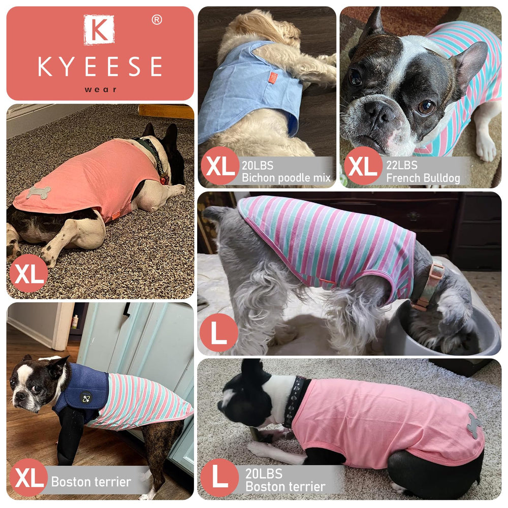 KYEESE reflective back label enhances visibility during evening walks