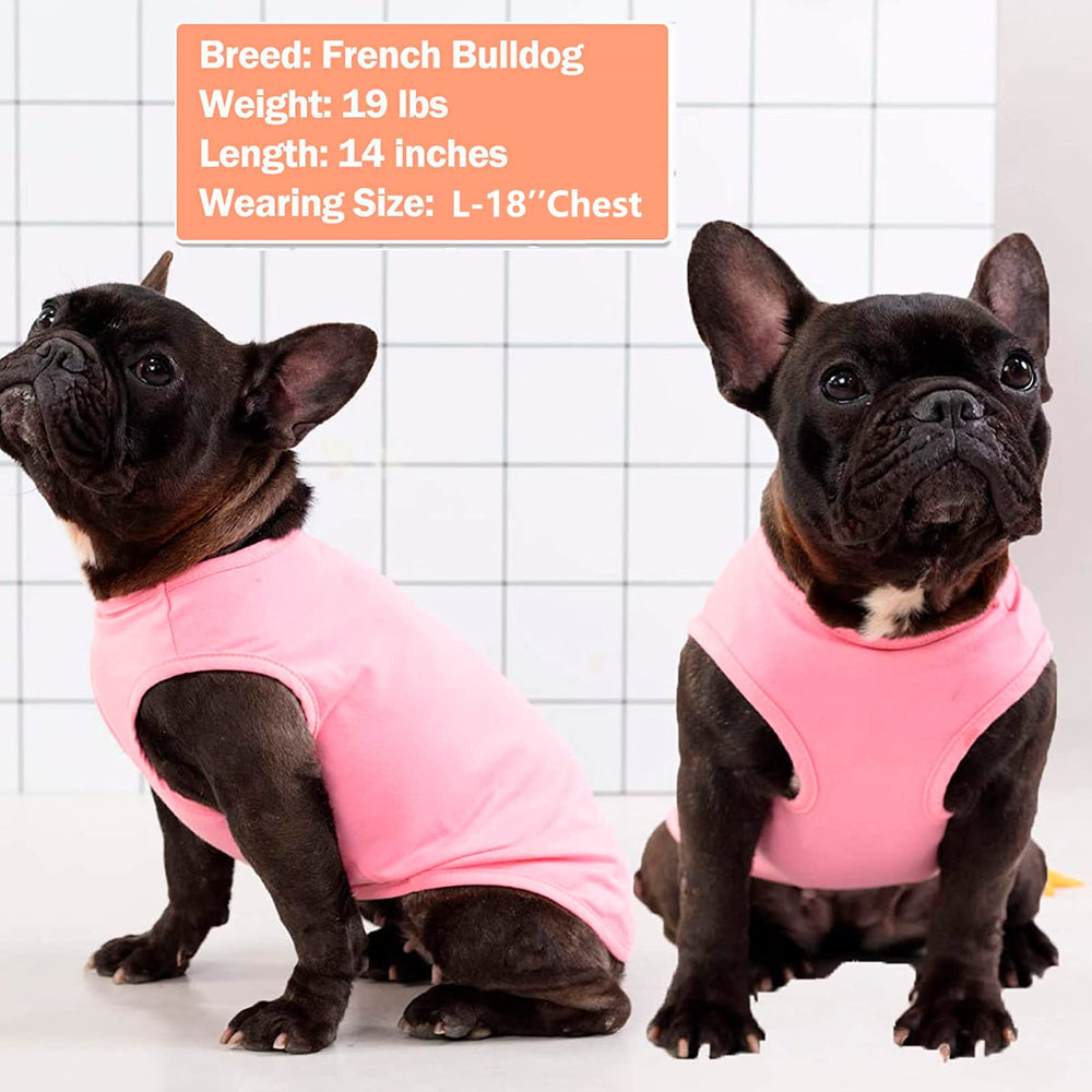 KYEESE pink dog vest adds soft comfort during strolls