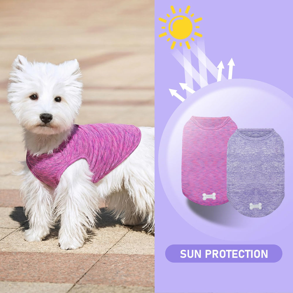 KYEESE 2-pack dog shirts back view with reflective label for safer night walks.