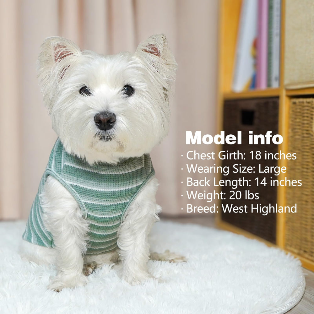 Kyeeese size chart image to guide small breed fittings