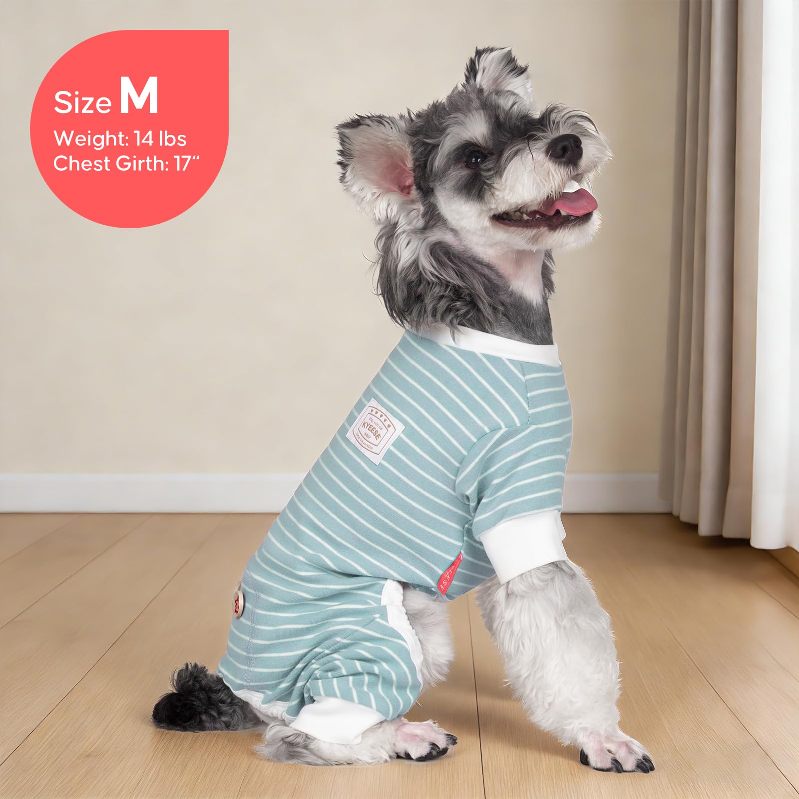 KYEESE size M fits small breeds like Shih Tzu and Mini Schnauzer.