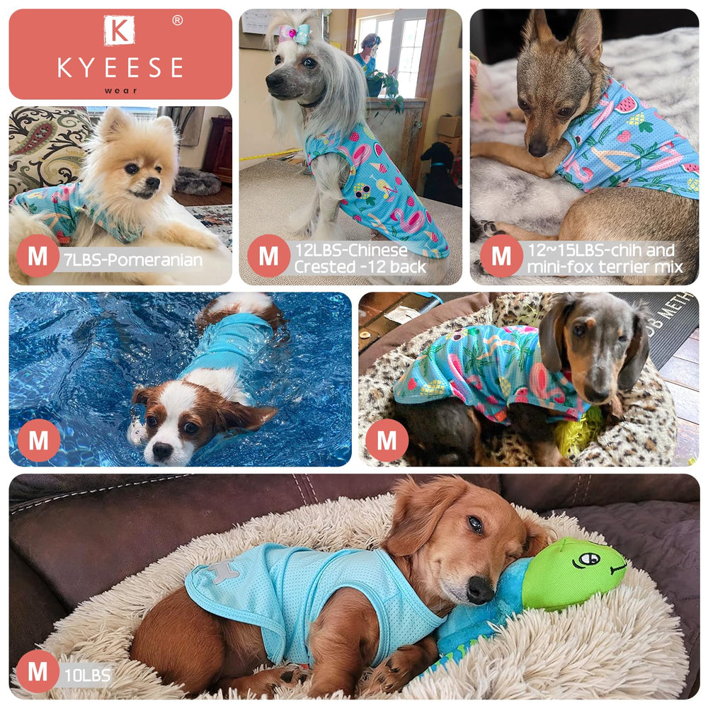 KYEESE easy-care 2-pack keeps outfits ready for daily adventures