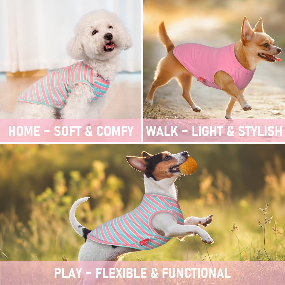 KYEESE reflective label improves visibility during evening walks.