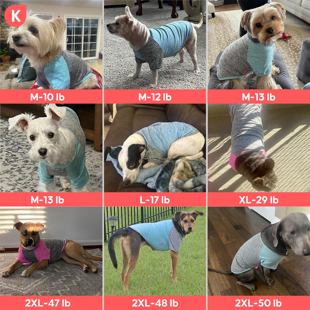 XL size fits medium breeds like Beagle or French Bulldog for flexible comfort.