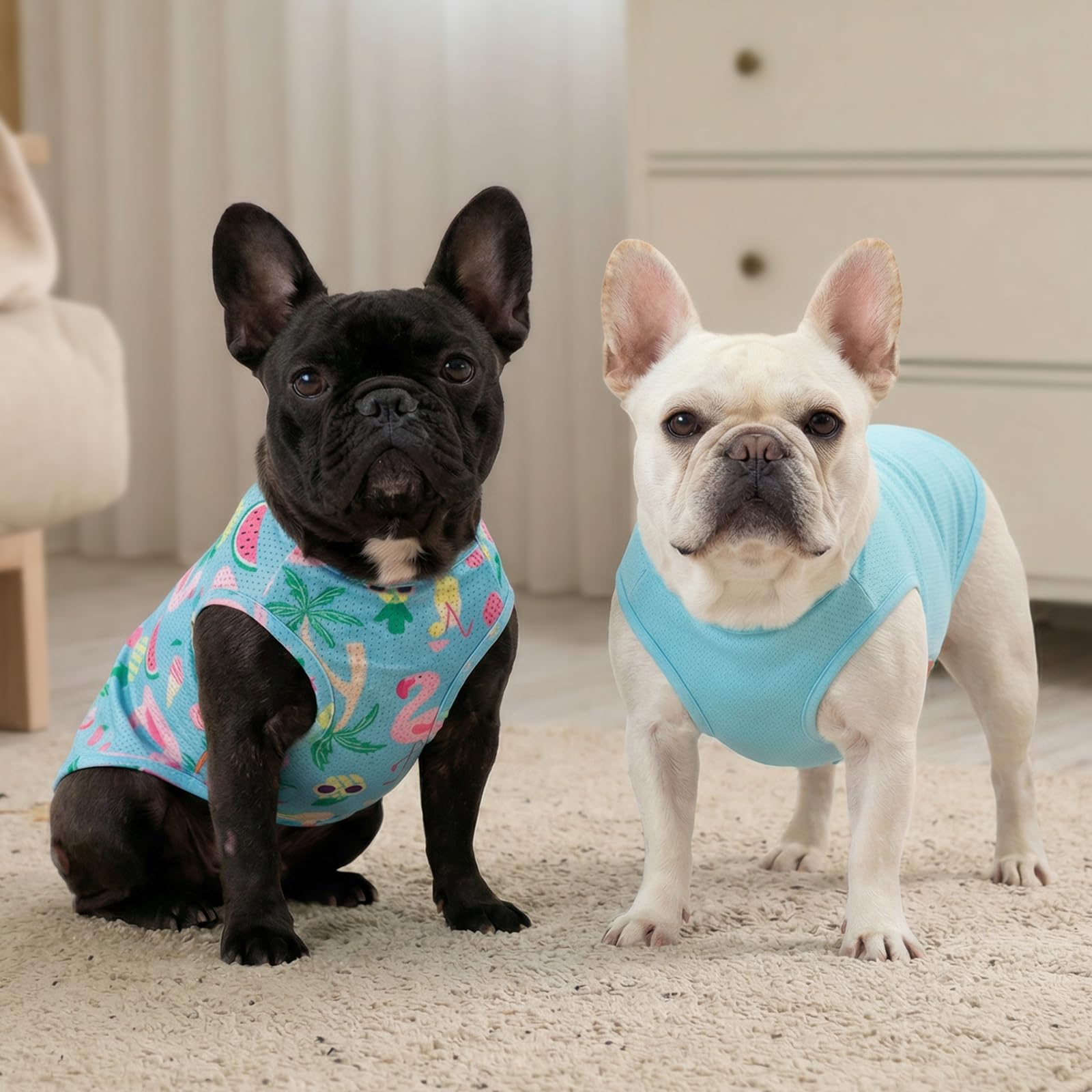 KYEESE vibrant colors help your dog stand out on walks