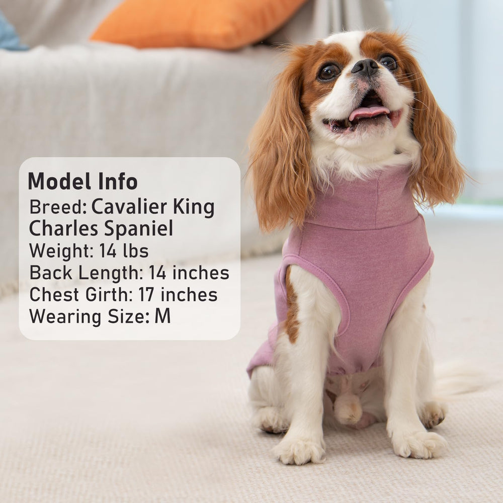 KYEESE sleeveless design on small dog during outdoor walk