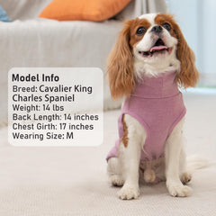 KYEESE sleeveless design on small dog during outdoor walk