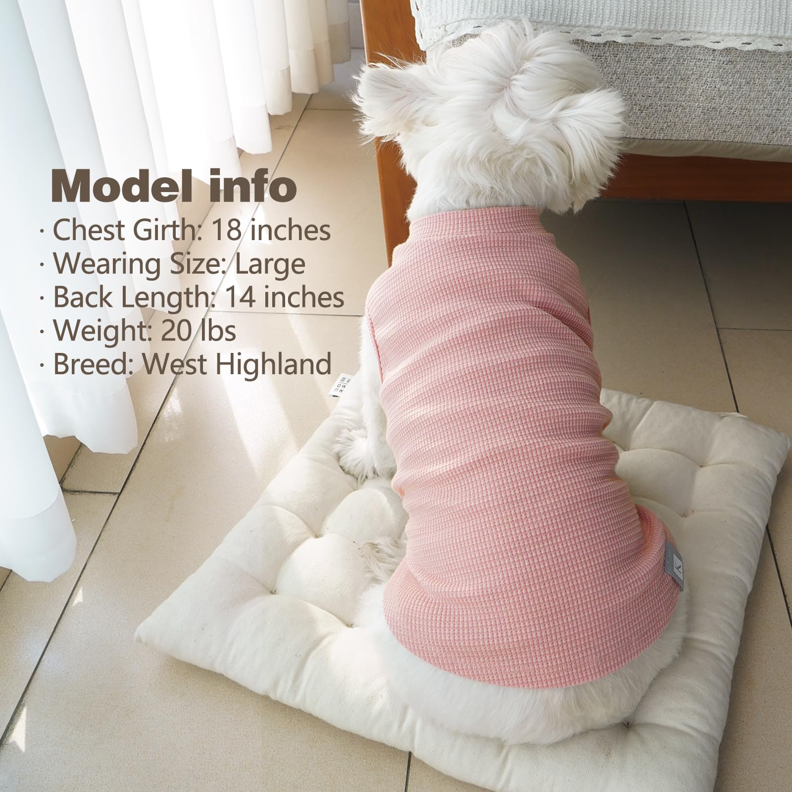 KYEESE indoor-outdoor dog wear for lounging and walks