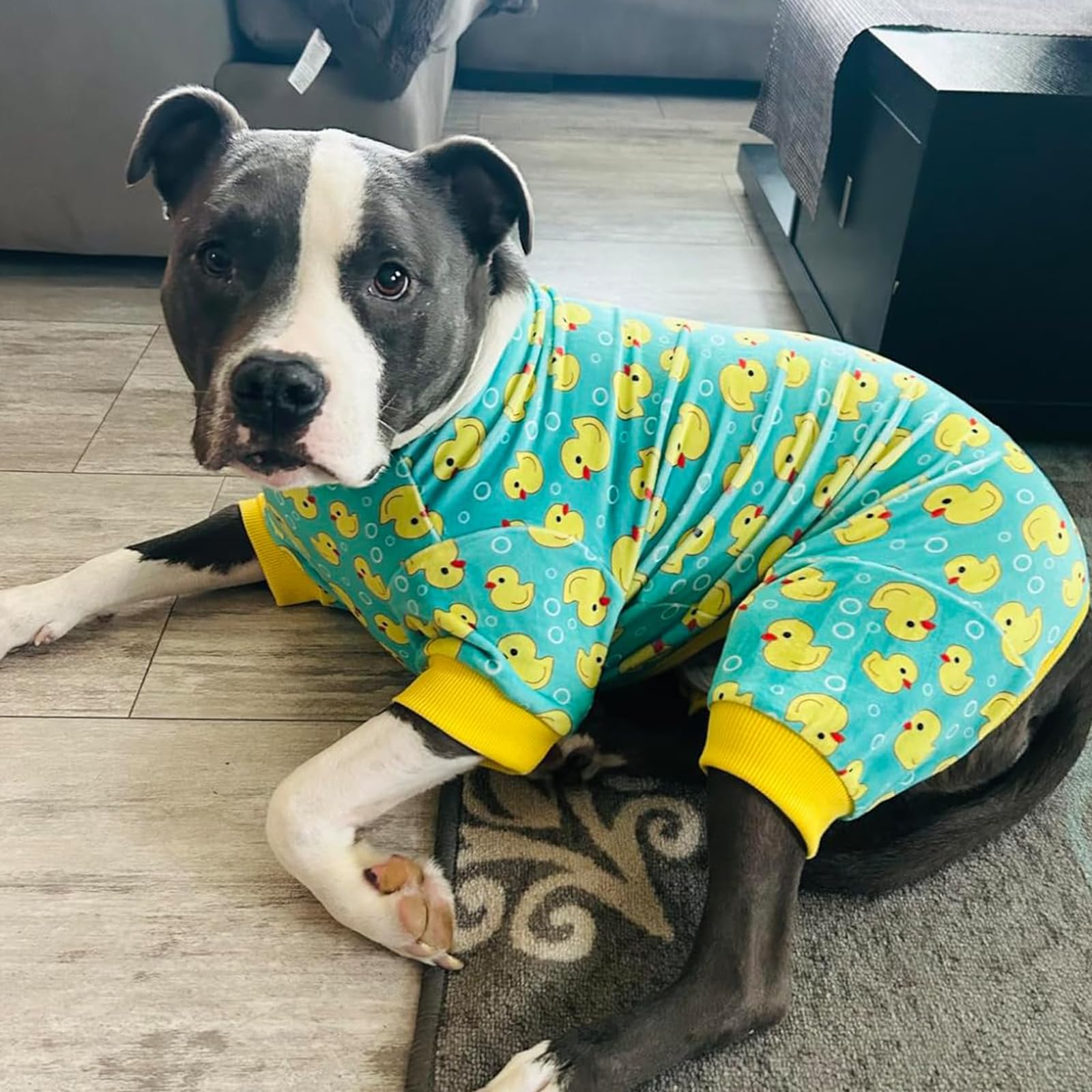 Kyeeese machine-washable dog pajamas stay color-fast.