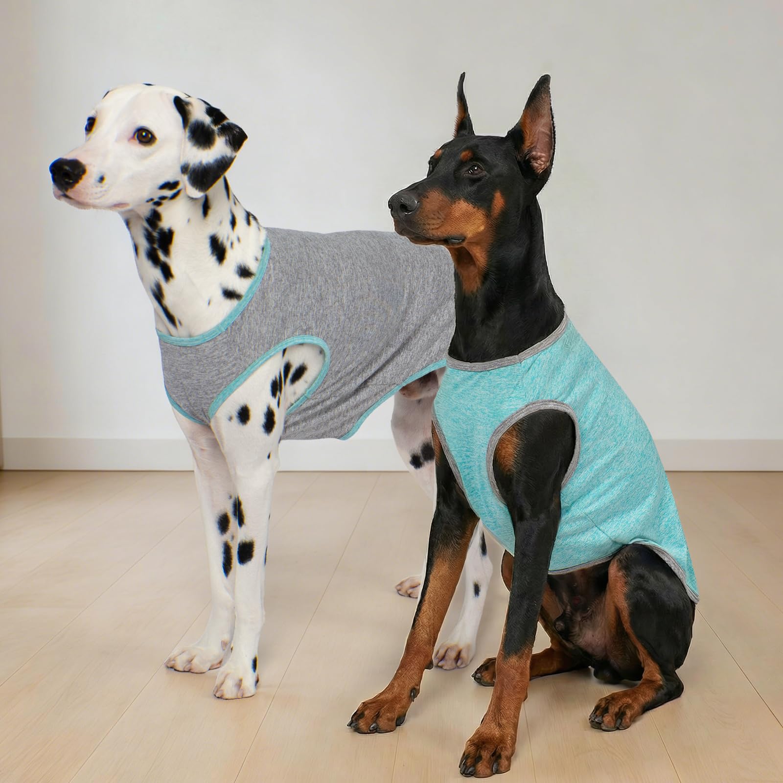 Kyeeese dog shirt ideal for outdoor walks and hiking