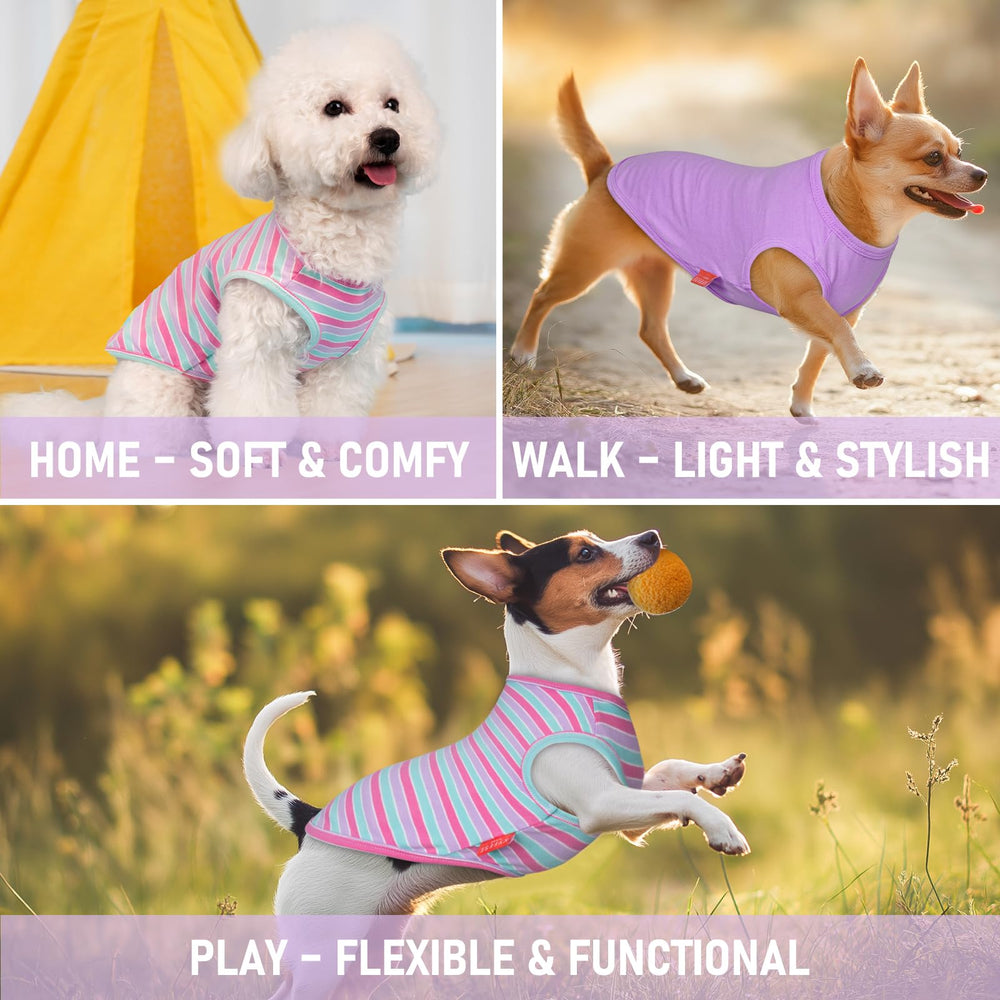 KYEESE reflective safety label ensures night visibility during walks.