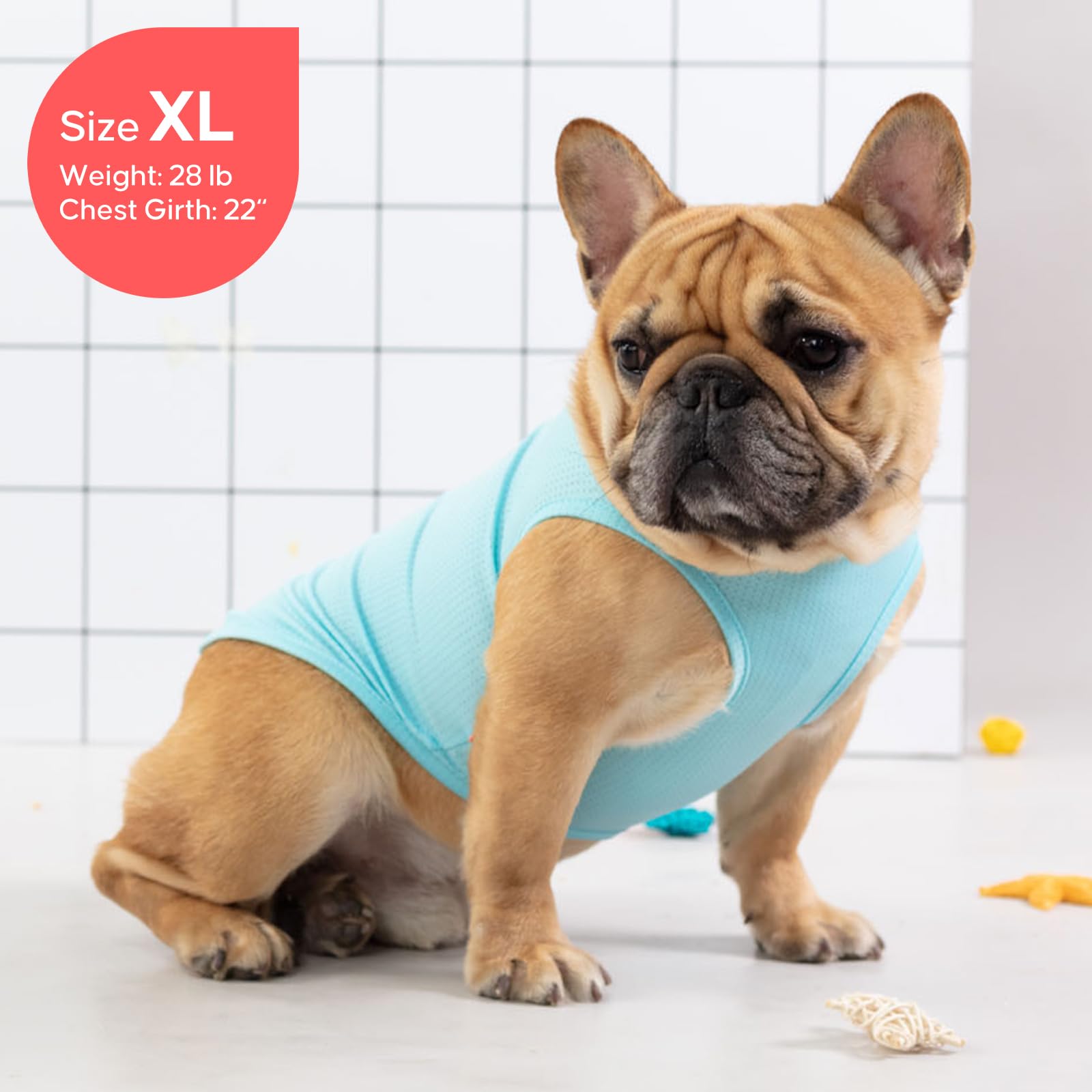 KYEESE size chart helps pick the right fit for small breeds
