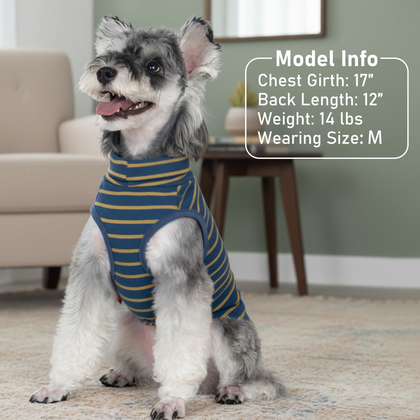 KYEESE size guide visual helps find the right chest and back measurements.