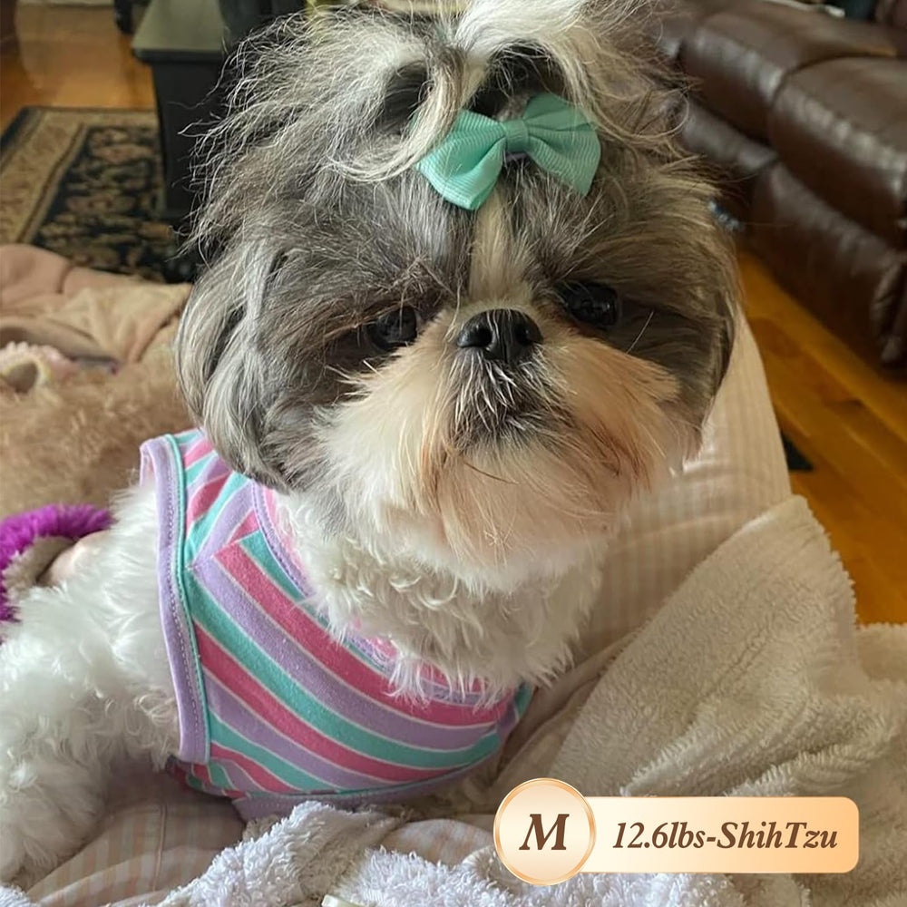 KYEESE size M fits small breeds like Shih Tzu.