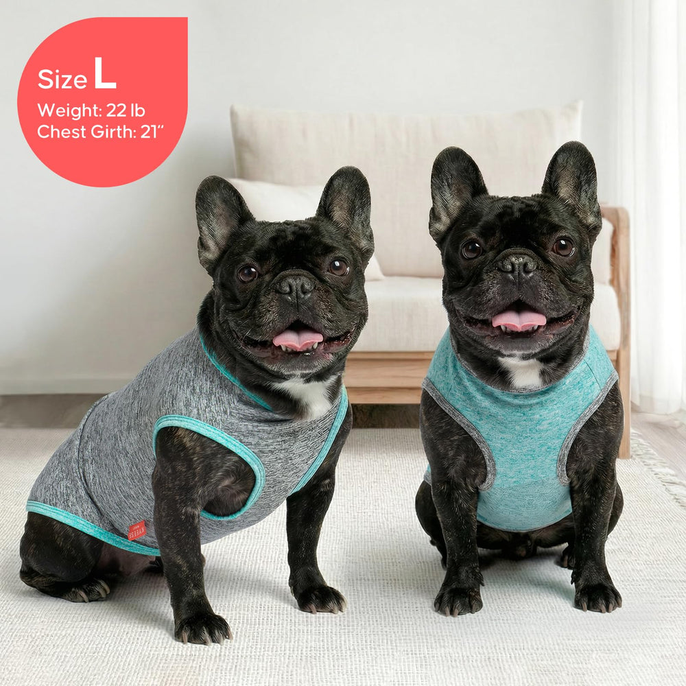 KYEESE size XL fit guide for mid-sized breeds