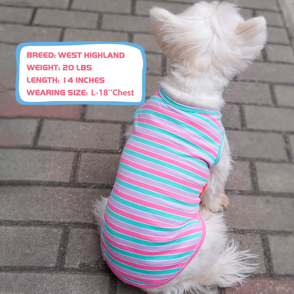 KYEESE size M fits small breeds like Mini Schnauzer and Shih Tzu.