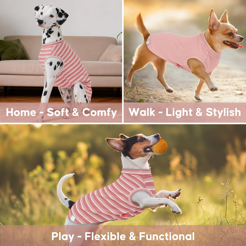 KYEESE size L fits small breeds like Bichon and Westie