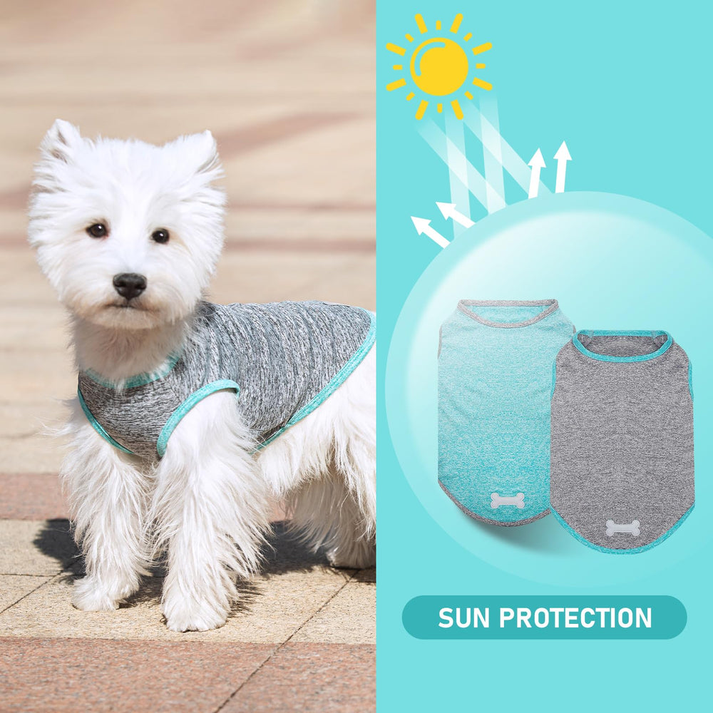 KYEESE blue sleeveless dog tank with reflective label for safe evening walks.