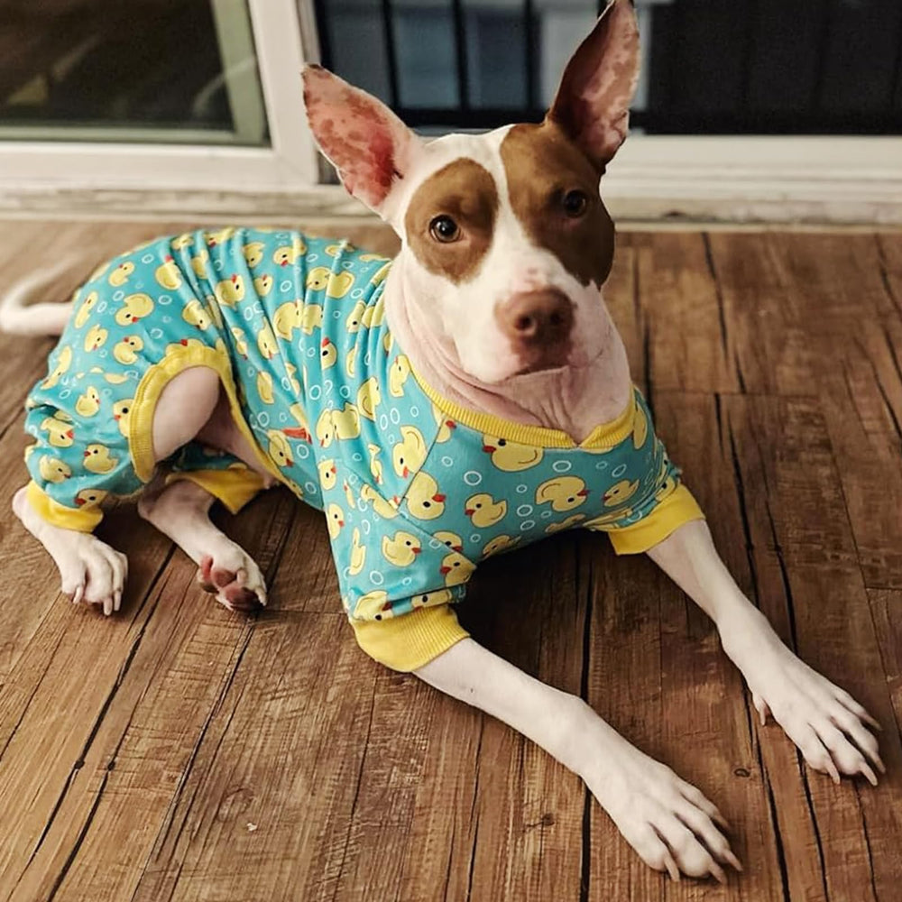 Kyeeese velvet dog pajamas offer soft texture and comfortable movement.