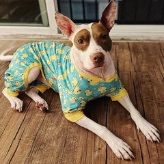 Kyeeese velvet dog pajamas offer soft texture and comfortable movement.