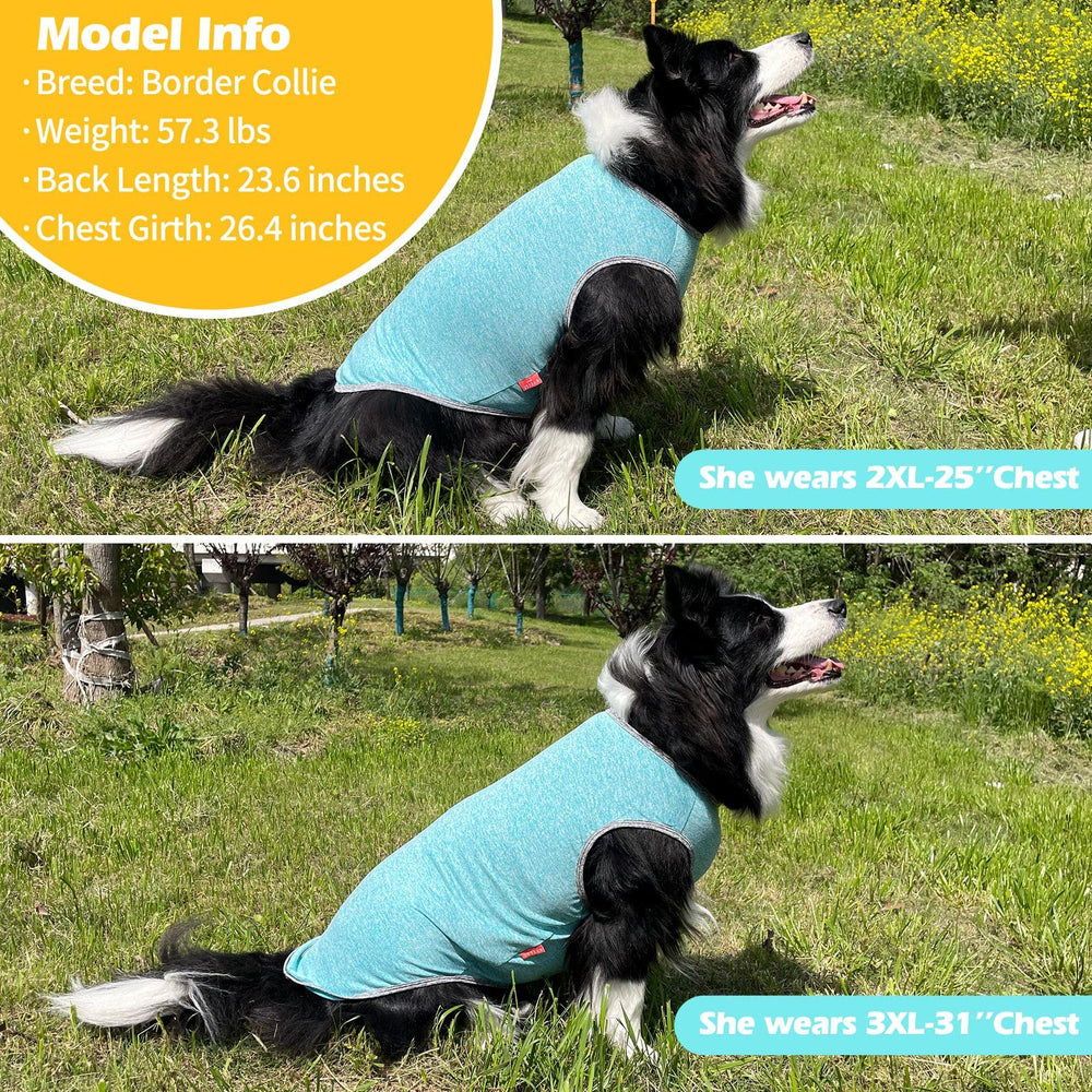 Kyeeese vibrant colors keep dogs visible and stylish in daily wear