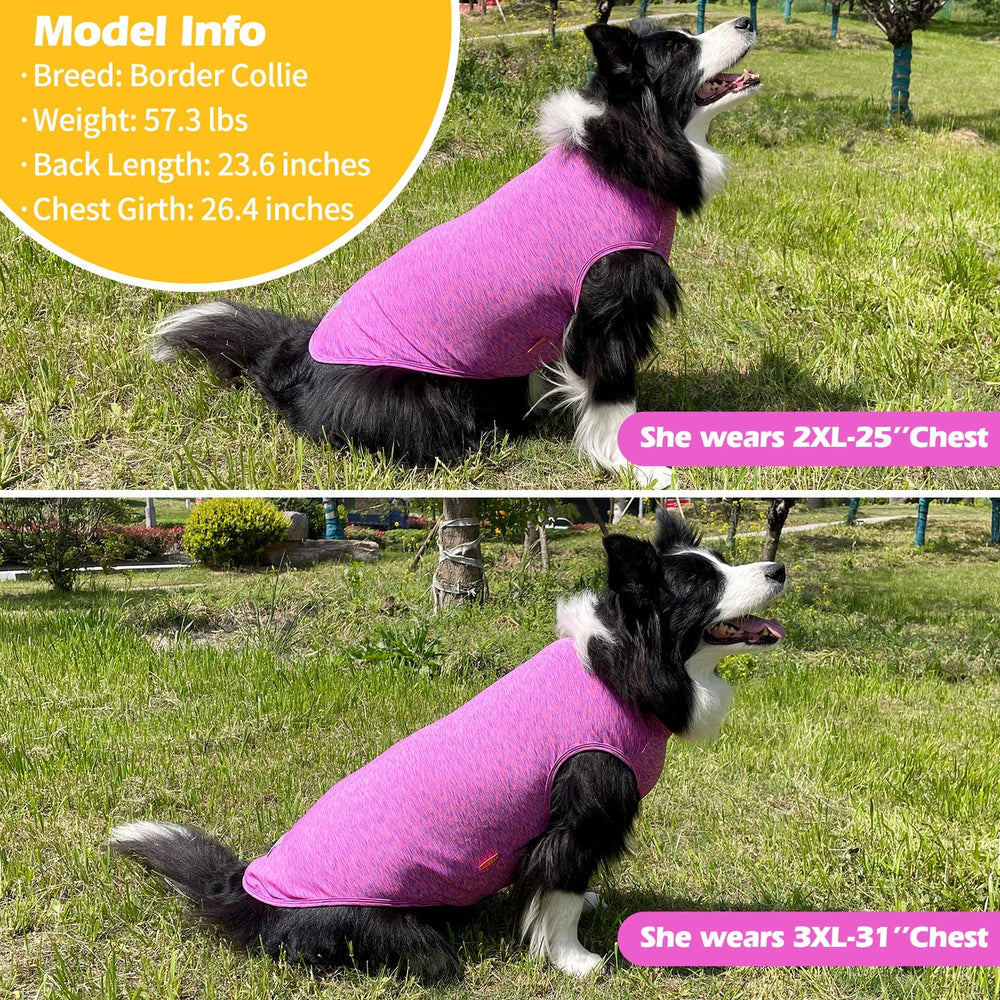 KYEESE vibrant purple and pink colors for everyday wear.