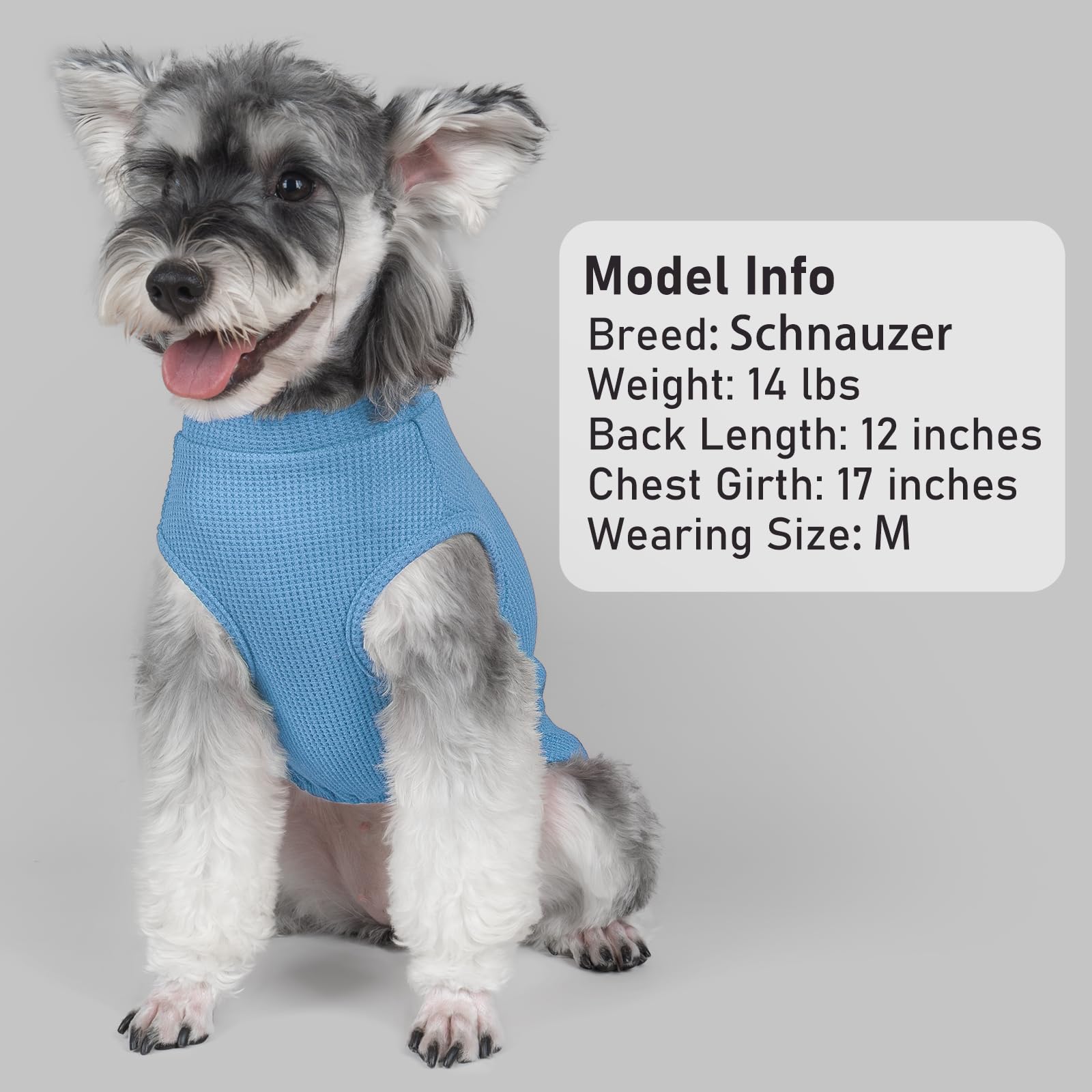 KYEESE waffle dog shirt suited for indoor lounging and outdoor walks.
