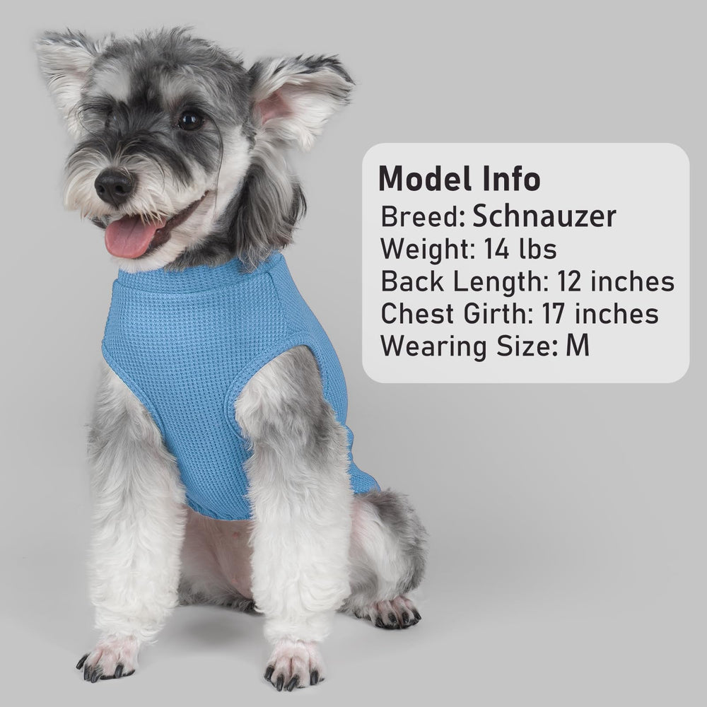 KYEESE waffle dog shirt suited for indoor lounging and outdoor walks.