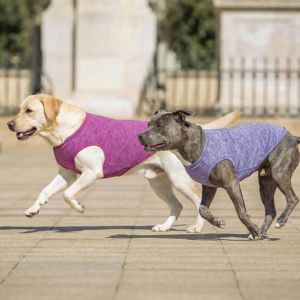 Kyeeese 3XL fits large breeds like Doberman for roomy comfort.