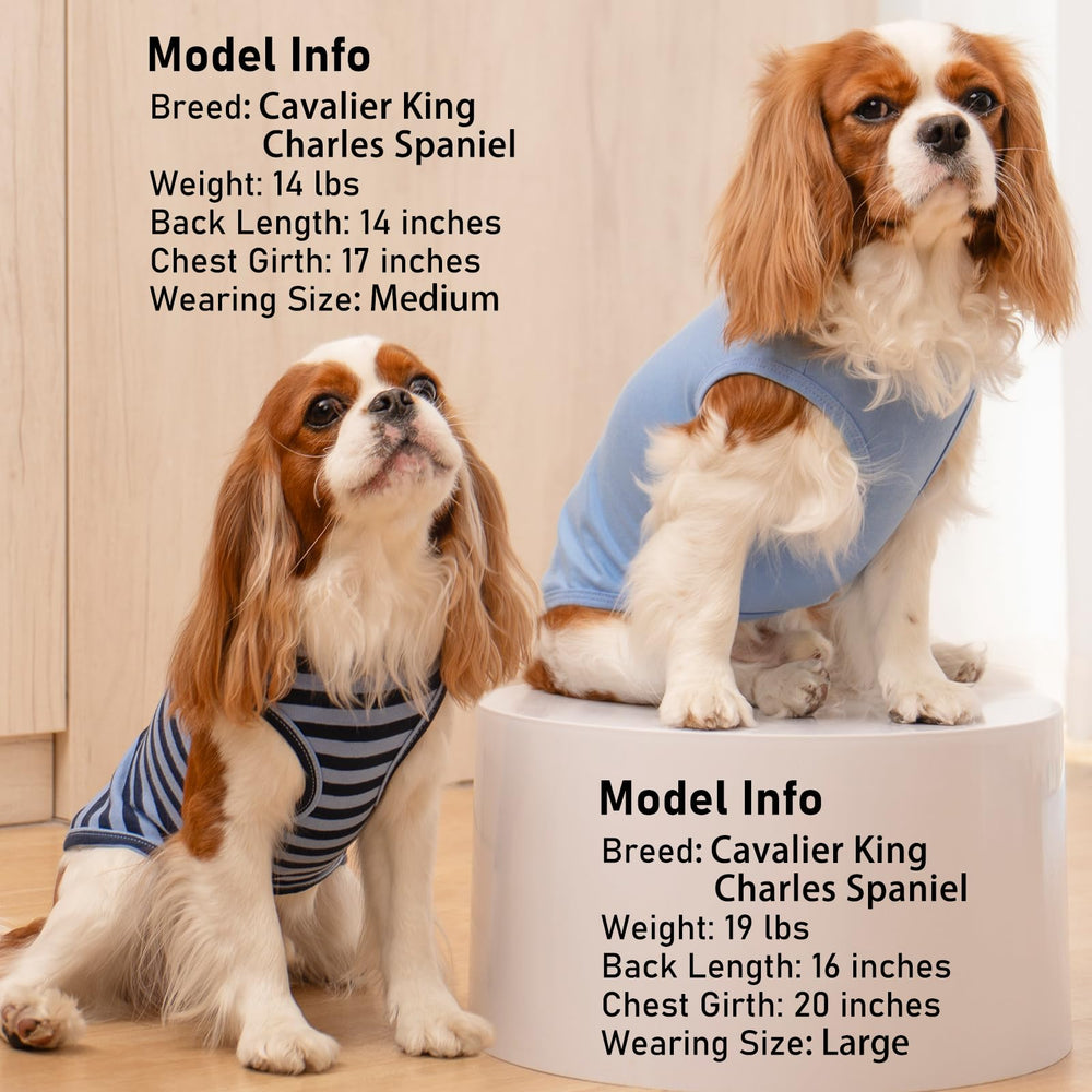 KYEESE dark blue striped dog shirt worn by dog during indoor-outdoor use.