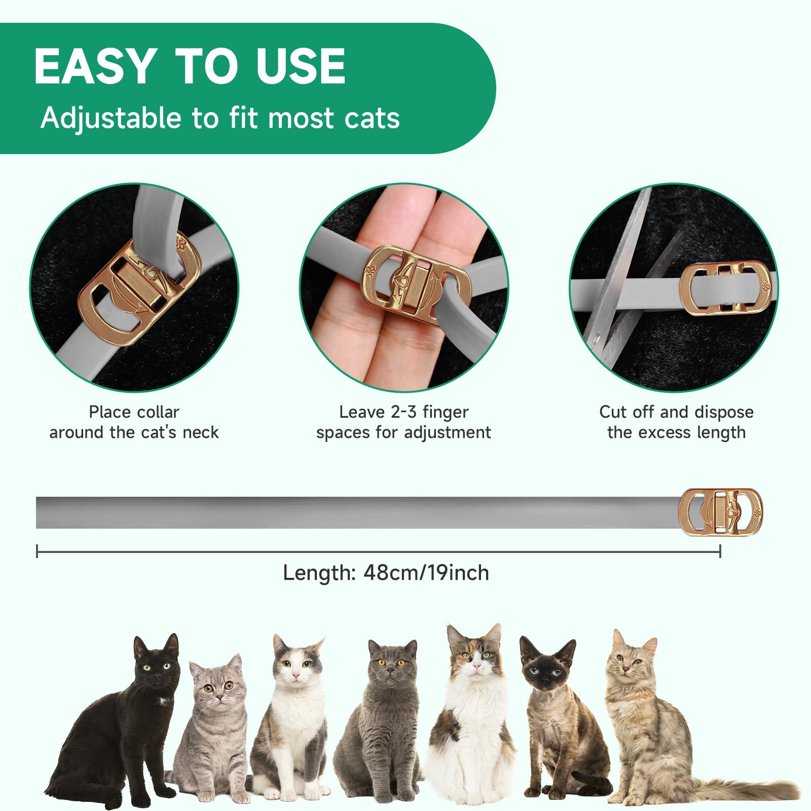 KYGNE 32-month protection collar pack for long-term prevention.