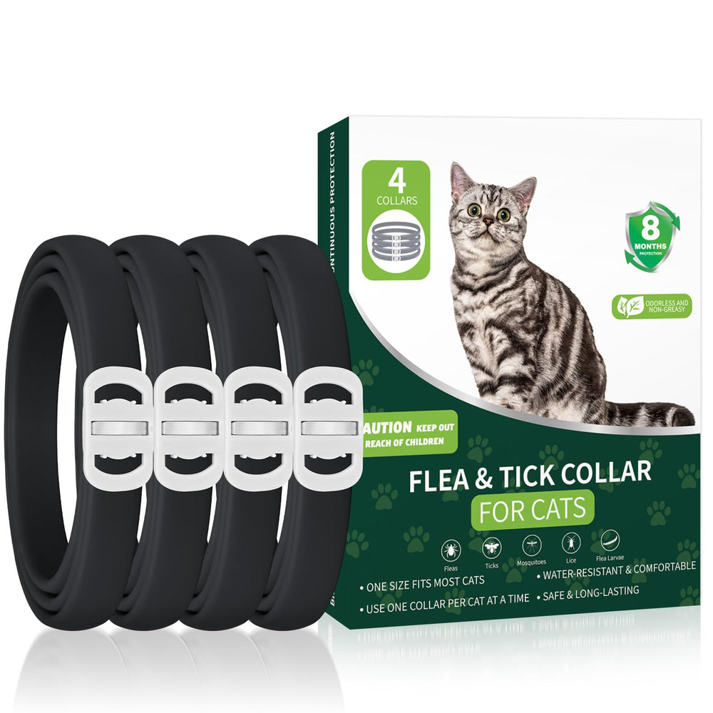 KYGNE 4-pack cat flea collars pack shot, showcasing long-lasting protection for cats.
