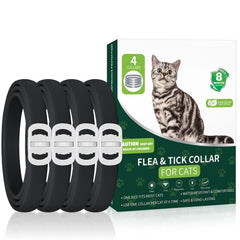 KYGNE 4-pack cat flea collars pack shot, showcasing long-lasting protection for cats.