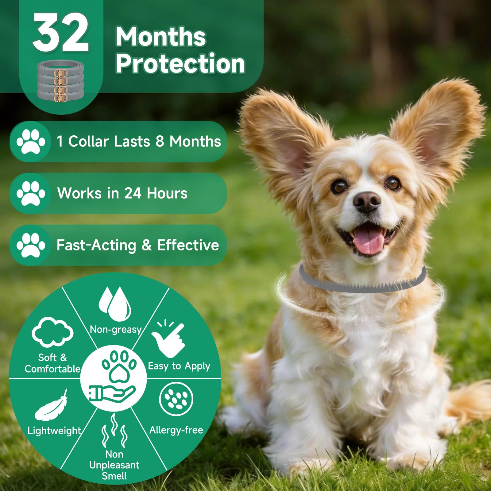 KYGNE adjustable dog flea collar fits most breeds for all-day comfort.