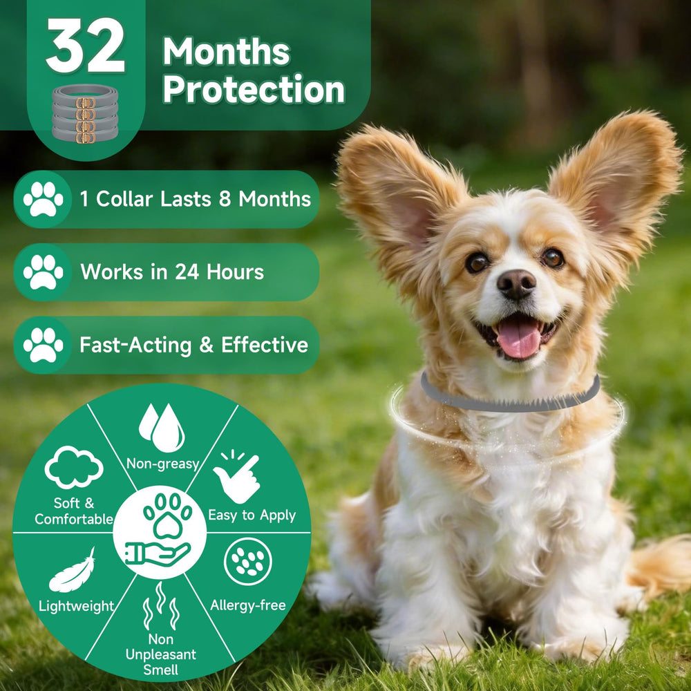 KYGNE adjustable dog flea collar fits most breeds for all-day comfort.