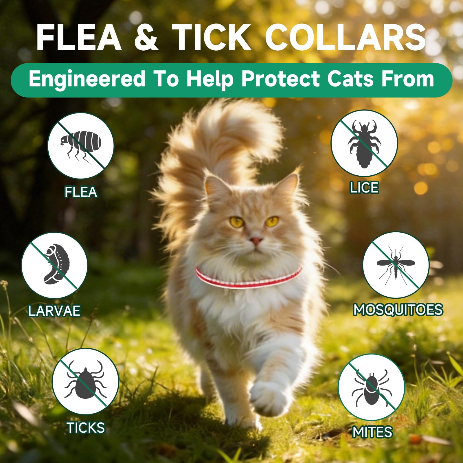 KYGNE cat flea collar on a cat's neck showing adjustable fit.