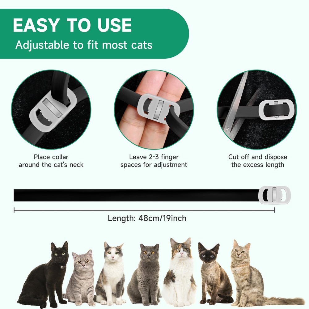 KYGNE cat flea collars shown during daily routines like play and grooming.