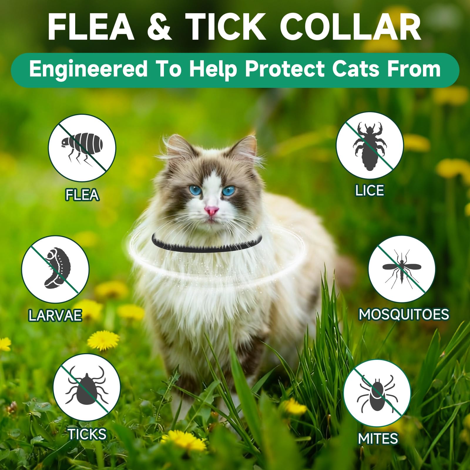 KYGNE cat flea collars worn by a cat, demonstrating comfortable, non-greasy fit.