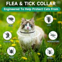 KYGNE cat flea collars worn by a cat, demonstrating comfortable, non-greasy fit.