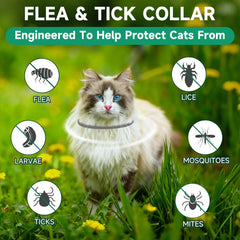 KYGNE cat flea tick prevention collar guards cats on outings.