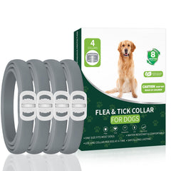 KYGNE four-pack dog flea collar packaging showing long-lasting protection.
