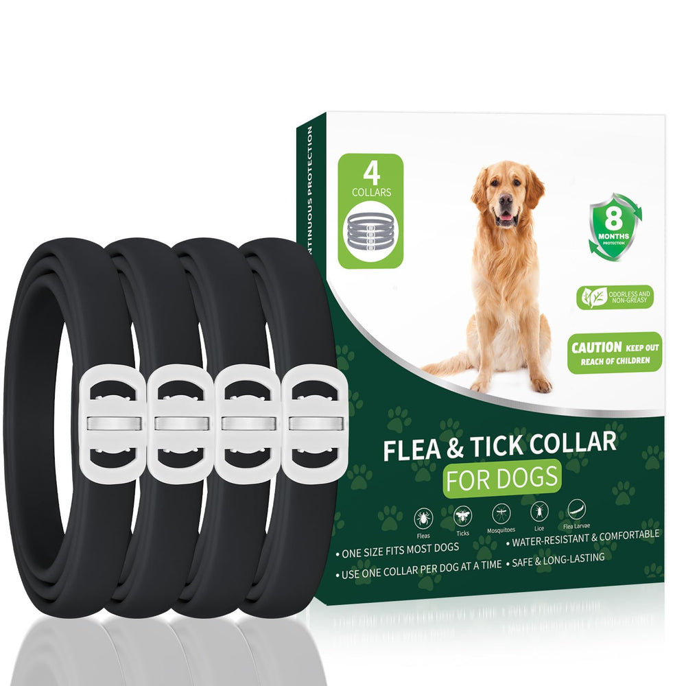 KYGNE dog flea collar four-pack provides up to eight months of protection.