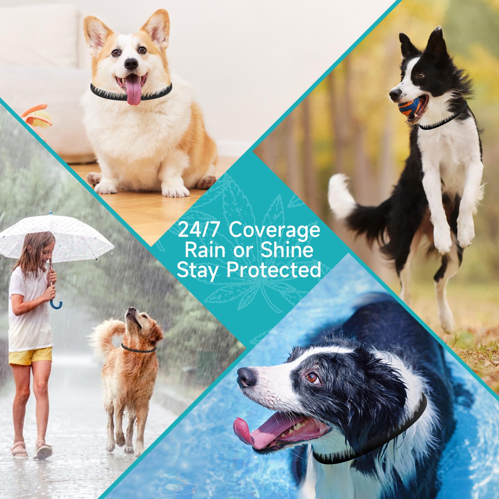 KYGNE flea collar is durable for baths and daily wear.