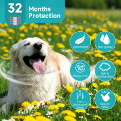 KYGNE dog wearing flea collar demonstrating secure adjustable fit.