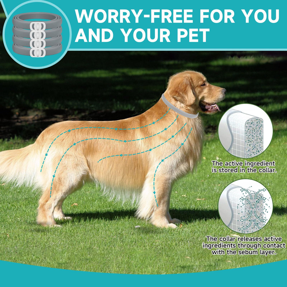 KYGNE waterproof dog flea collar material for all-weather use.