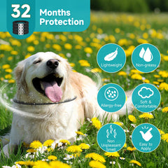 KYGNE waterproof flea collar stays effective in wet conditions.